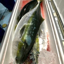 第二八坂丸 釣果