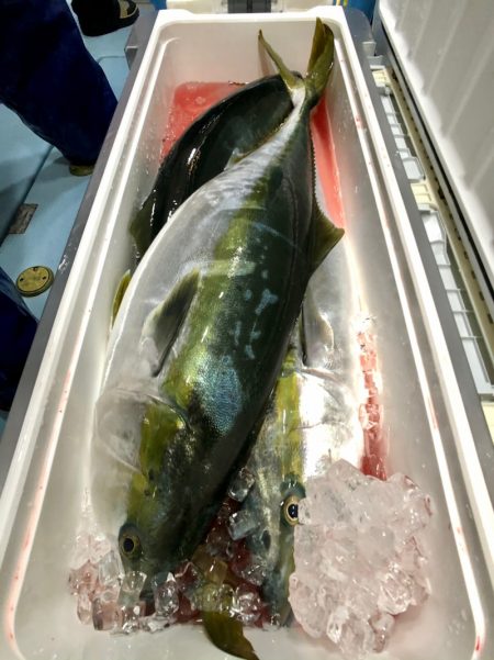 第二八坂丸 釣果