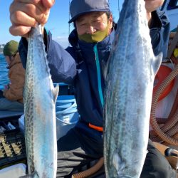 みやけ丸 釣果
