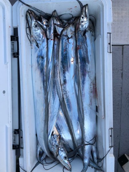 フィッシング　キッタカ 釣果