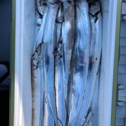 フィッシング　キッタカ 釣果