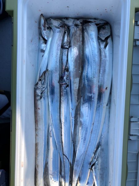 フィッシング　キッタカ 釣果