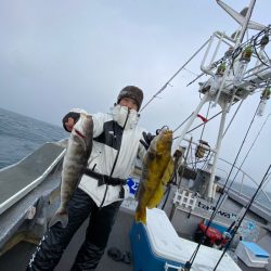 シーランチ 釣果