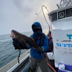 シーランチ 釣果