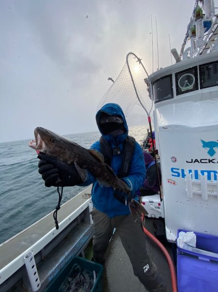 シーランチ 釣果