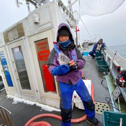 シーランチ 釣果