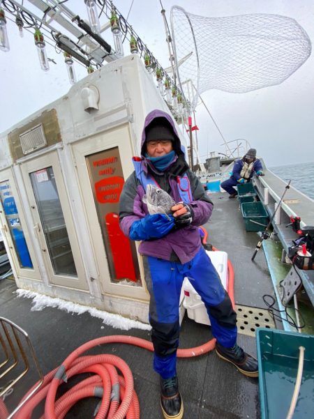 シーランチ 釣果