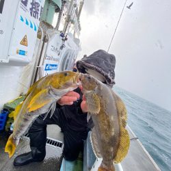 シーランチ 釣果