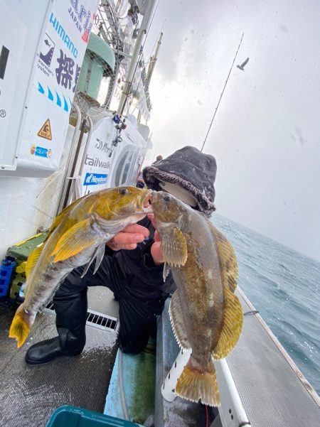 シーランチ 釣果