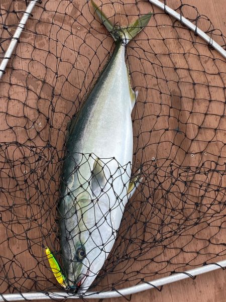 あみや渡船 JIGBOY 釣果