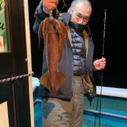 愛海丸 釣果