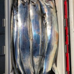 フィッシング　キッタカ 釣果