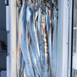 フィッシング　キッタカ 釣果