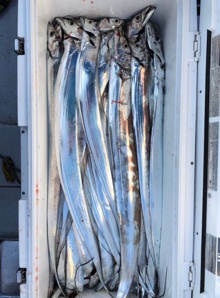 フィッシング　キッタカ 釣果