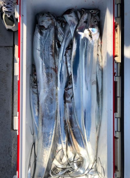 フィッシング　キッタカ 釣果