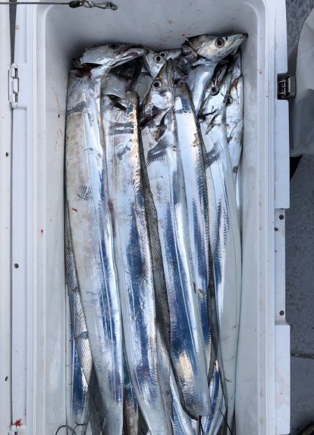 フィッシング キッタカ 釣果