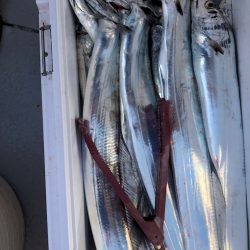 フィッシング キッタカ 釣果