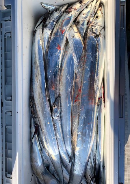 フィッシング　キッタカ 釣果