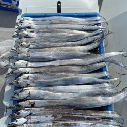 釣人家 釣果