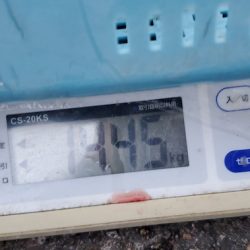 LUSTER『ラスター』 釣果