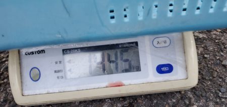 LUSTER『ラスター』 釣果