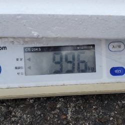 LUSTER『ラスター』 釣果