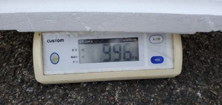 LUSTER『ラスター』 釣果