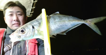 シースナイパー海龍 釣果