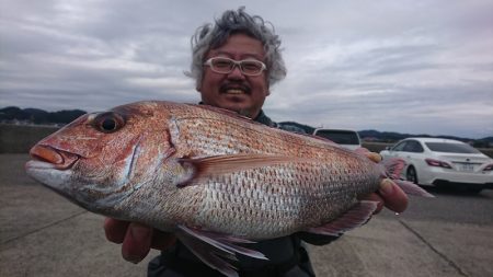 第三共栄丸 釣果