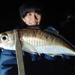 シースナイパー海龍 釣果