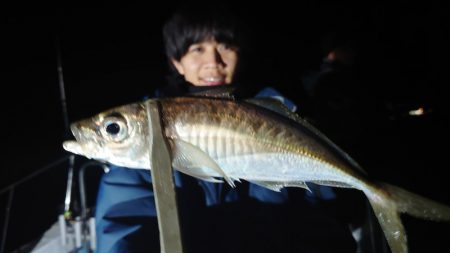シースナイパー海龍 釣果