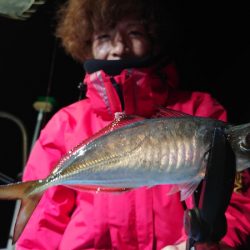 シースナイパー海龍 釣果