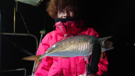 シースナイパー海龍 釣果