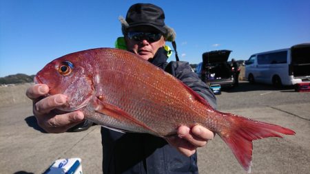 第三共栄丸 釣果