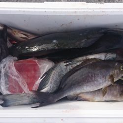 しば渡船 釣果