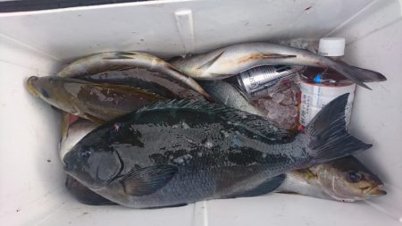 しば渡船 釣果