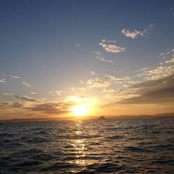 遊漁船 家入 釣果