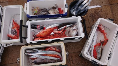 海皇丸 釣果