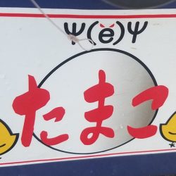 進誠丸 釣果