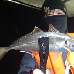 シースナイパー海龍 釣果