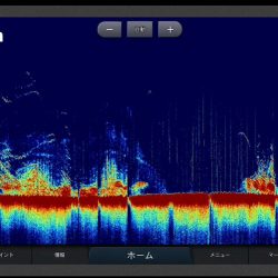 Chase(チェイス) 釣果