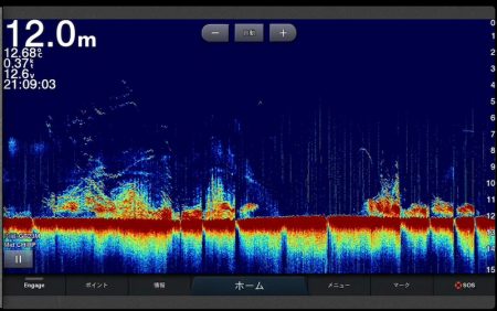 Chase(チェイス) 釣果