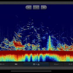Chase(チェイス) 釣果