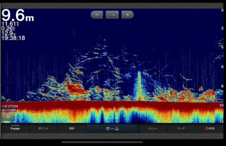 Chase(チェイス) 釣果