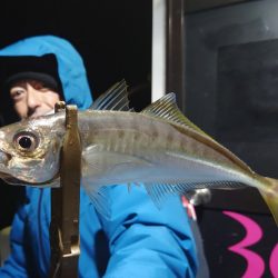 シースナイパー海龍 釣果