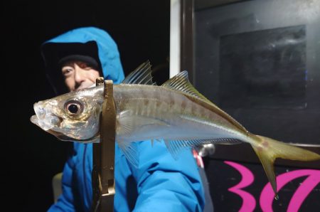 シースナイパー海龍 釣果