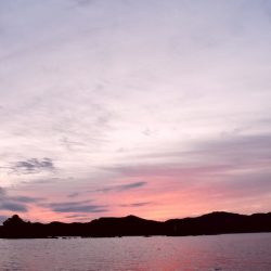 渡船屋たにぐち 釣果