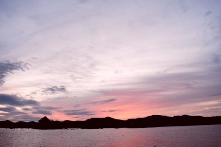 渡船屋たにぐち 釣果