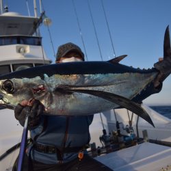 渡船屋たにぐち 釣果
