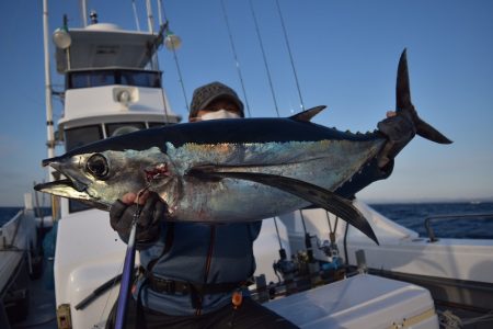 渡船屋たにぐち 釣果